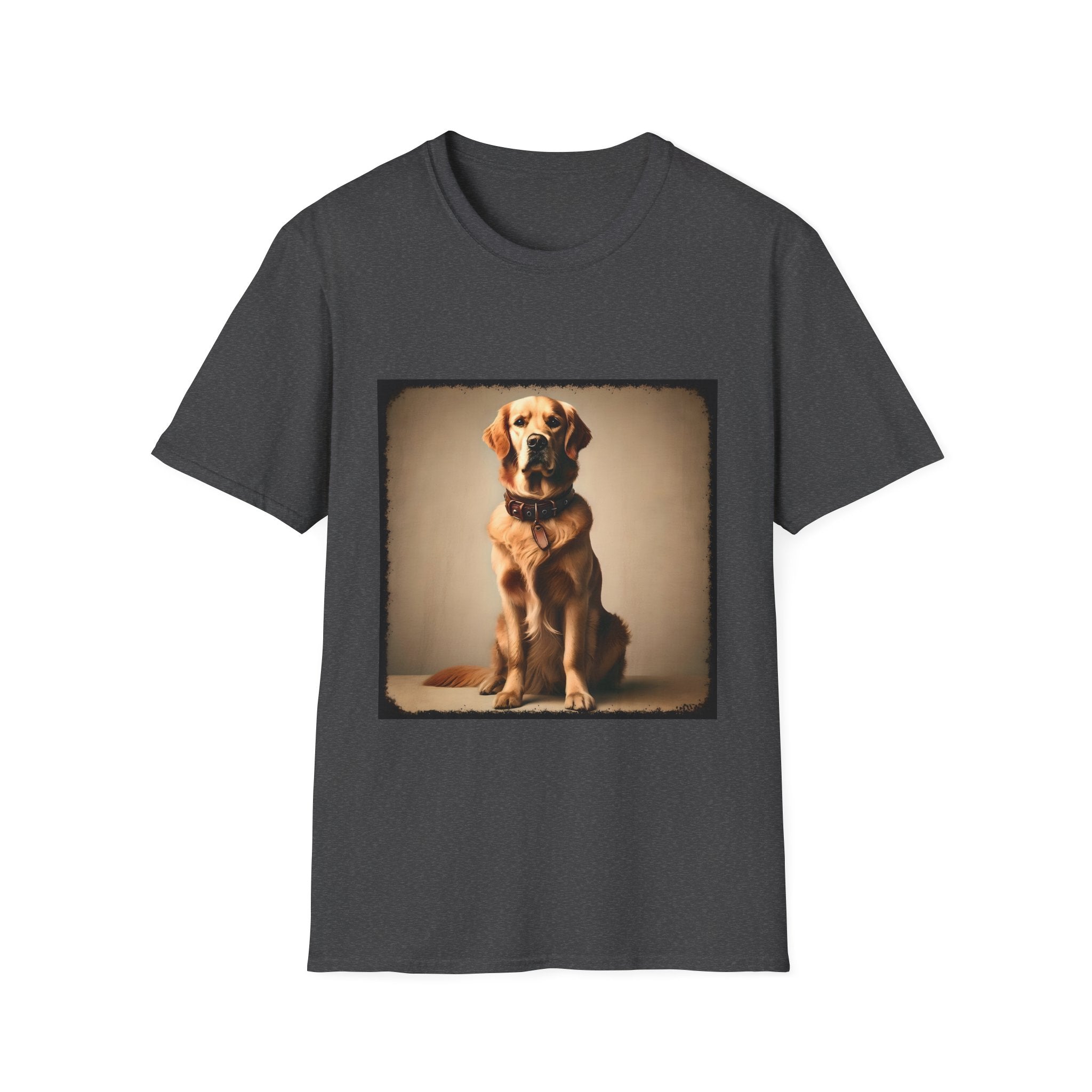 Dark heather dog t-shirt featuring golden retriever in brown collar, seated against a neutral tan backdrop.
